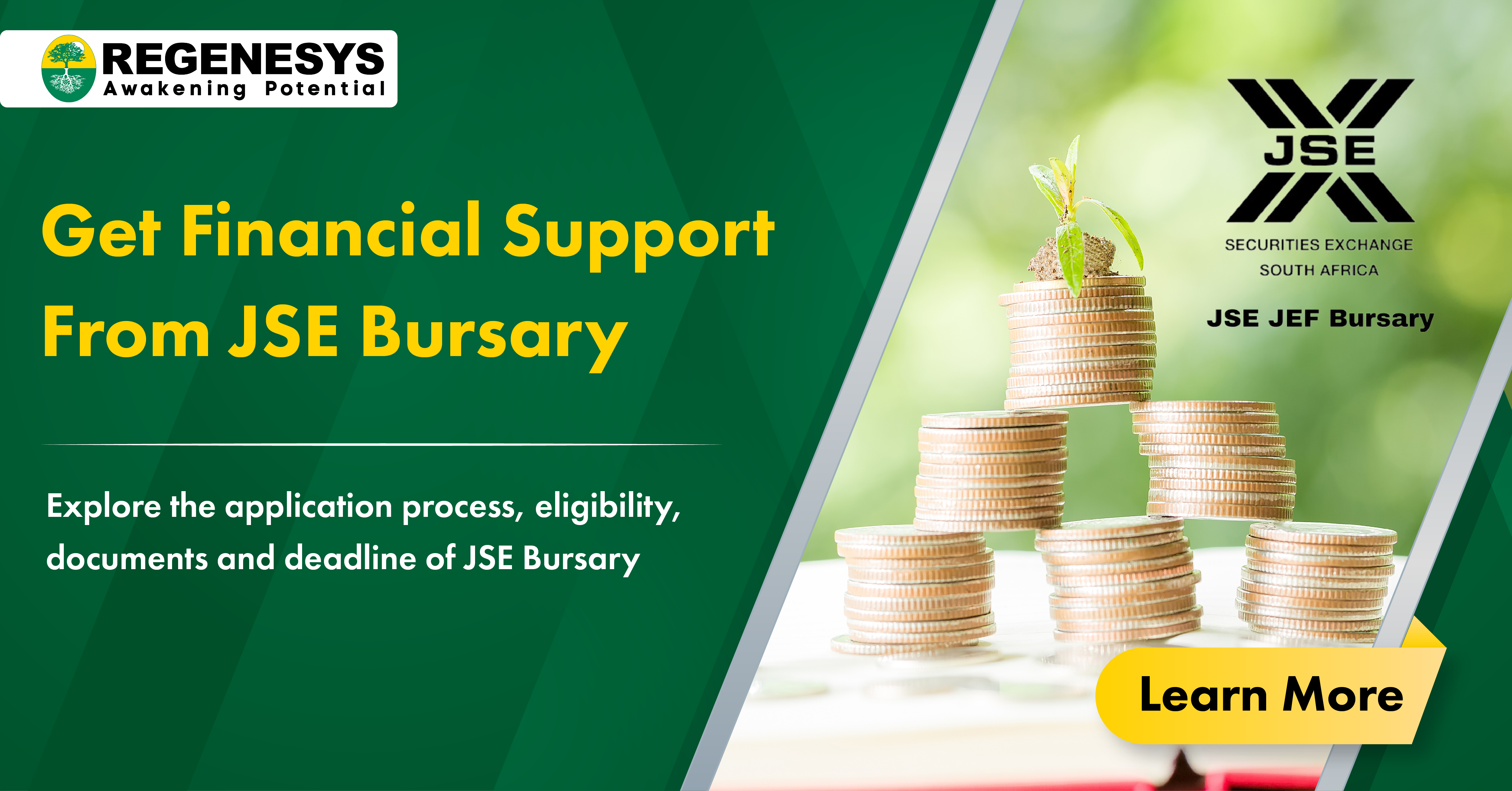 jse bursary requirements